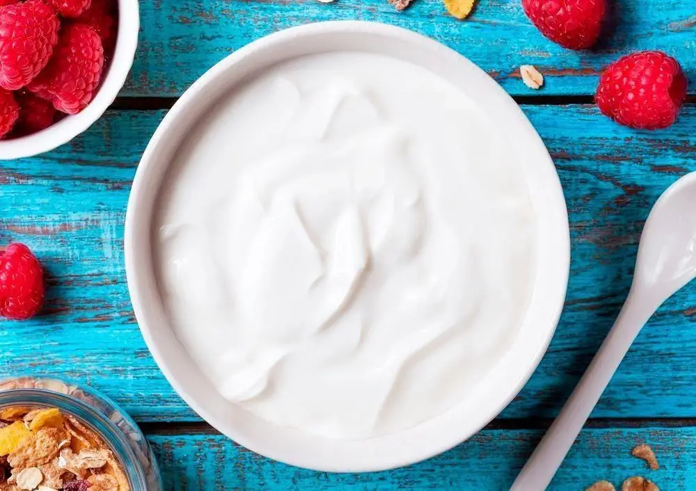 Las Mejores recetas de yogur