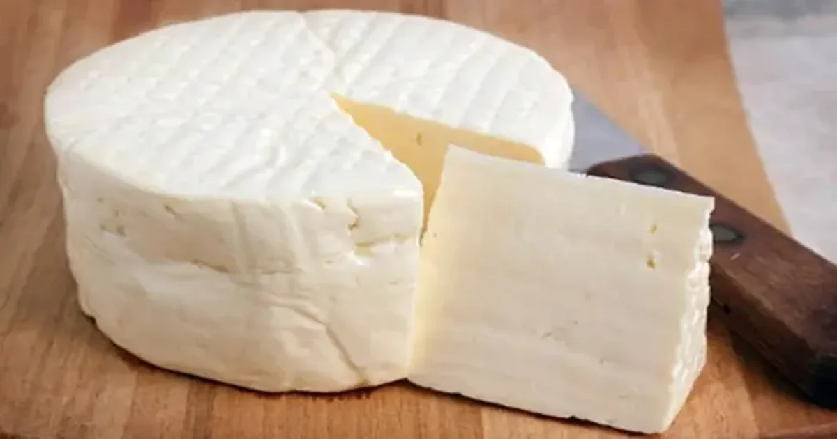 ¿Cómo hacer queso blanco casero? aprende la receta