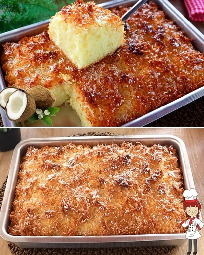 Pastel Toalla Felpuda de Coco