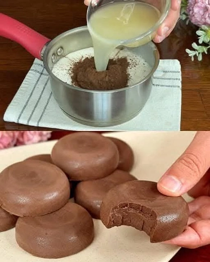 Postre Frío de Chocolate con Grenetina